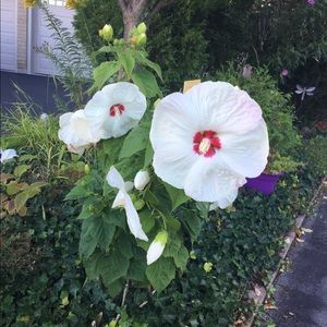 Meet your Posher, Gabby